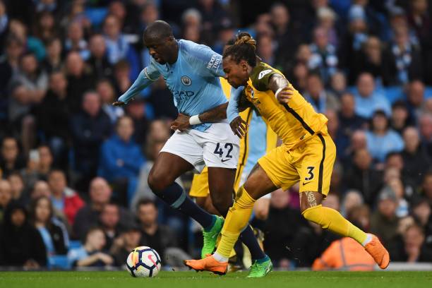 在若鸟的潜 在若鸟的潜