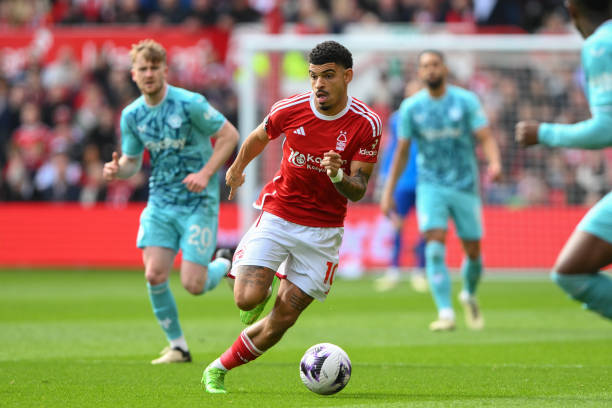 但他们在队 但他们在队