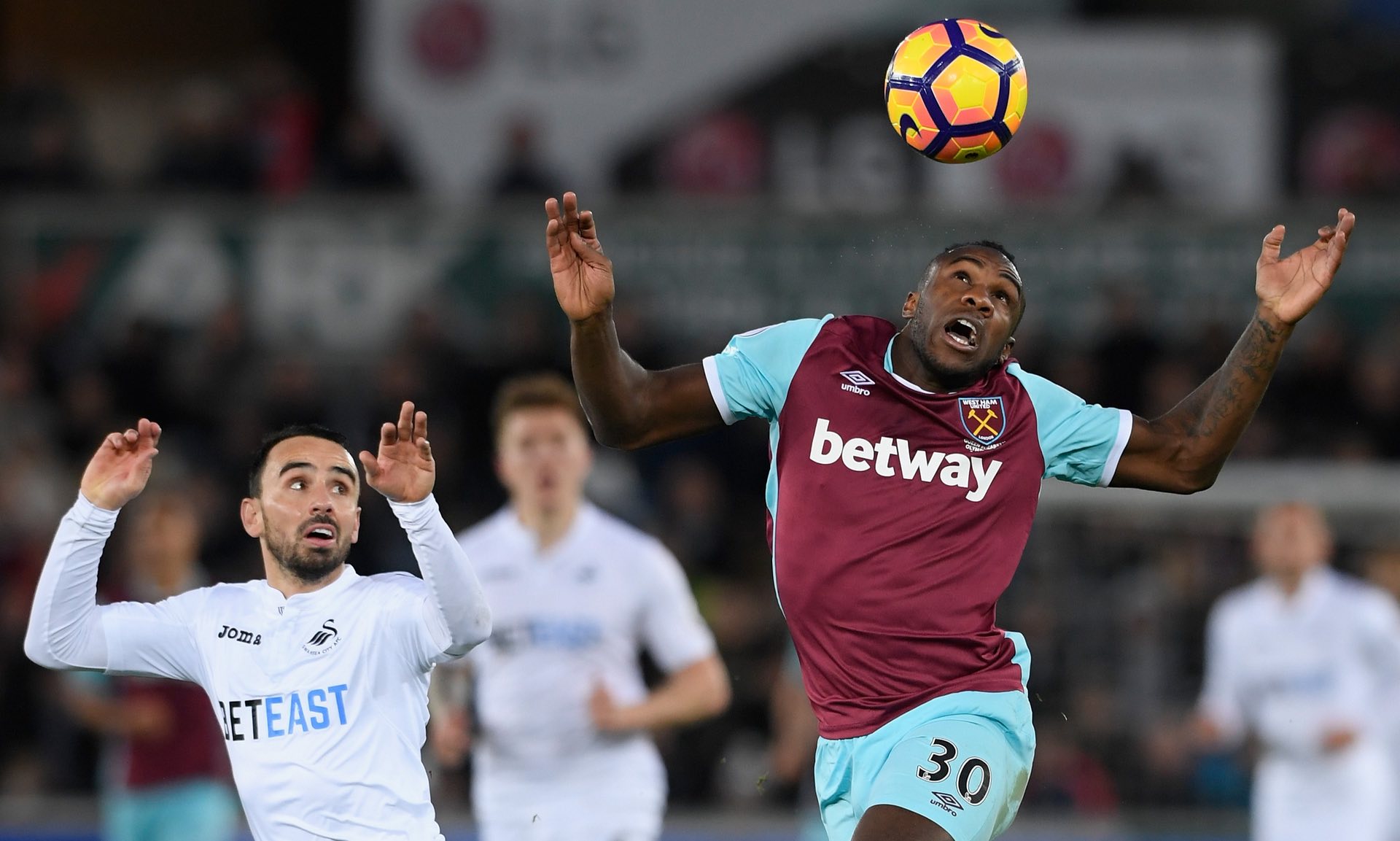 并入选冰岛 并入选冰岛