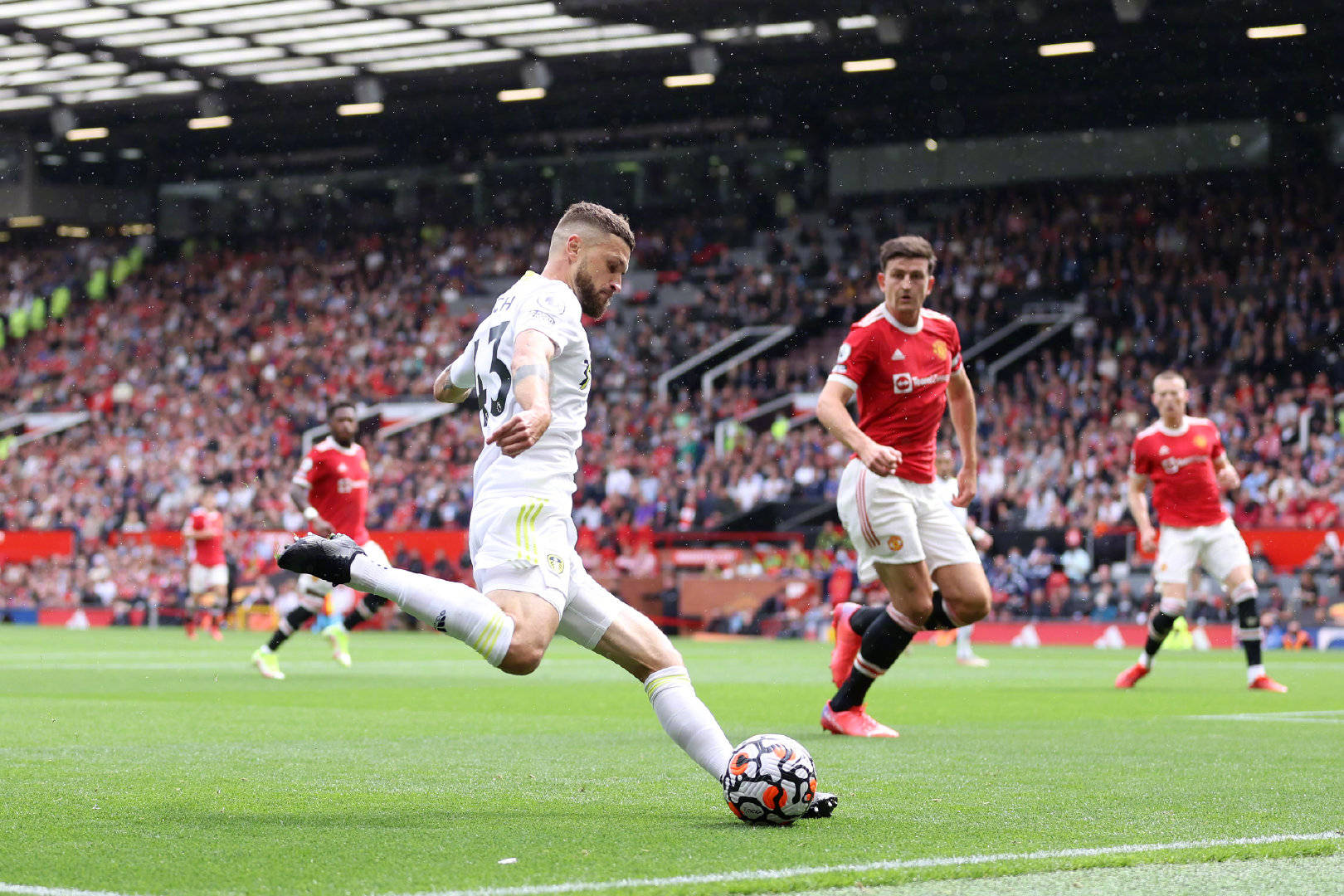 指导下的黄 指导下的黄